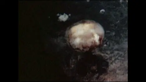 1945 Nagasaki Atomic Bomb Explosion 02