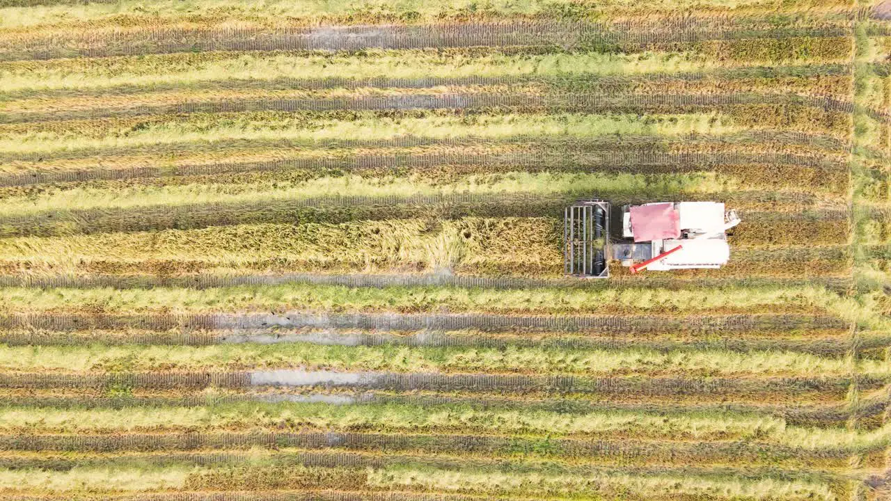 Cutting the last grains of rice