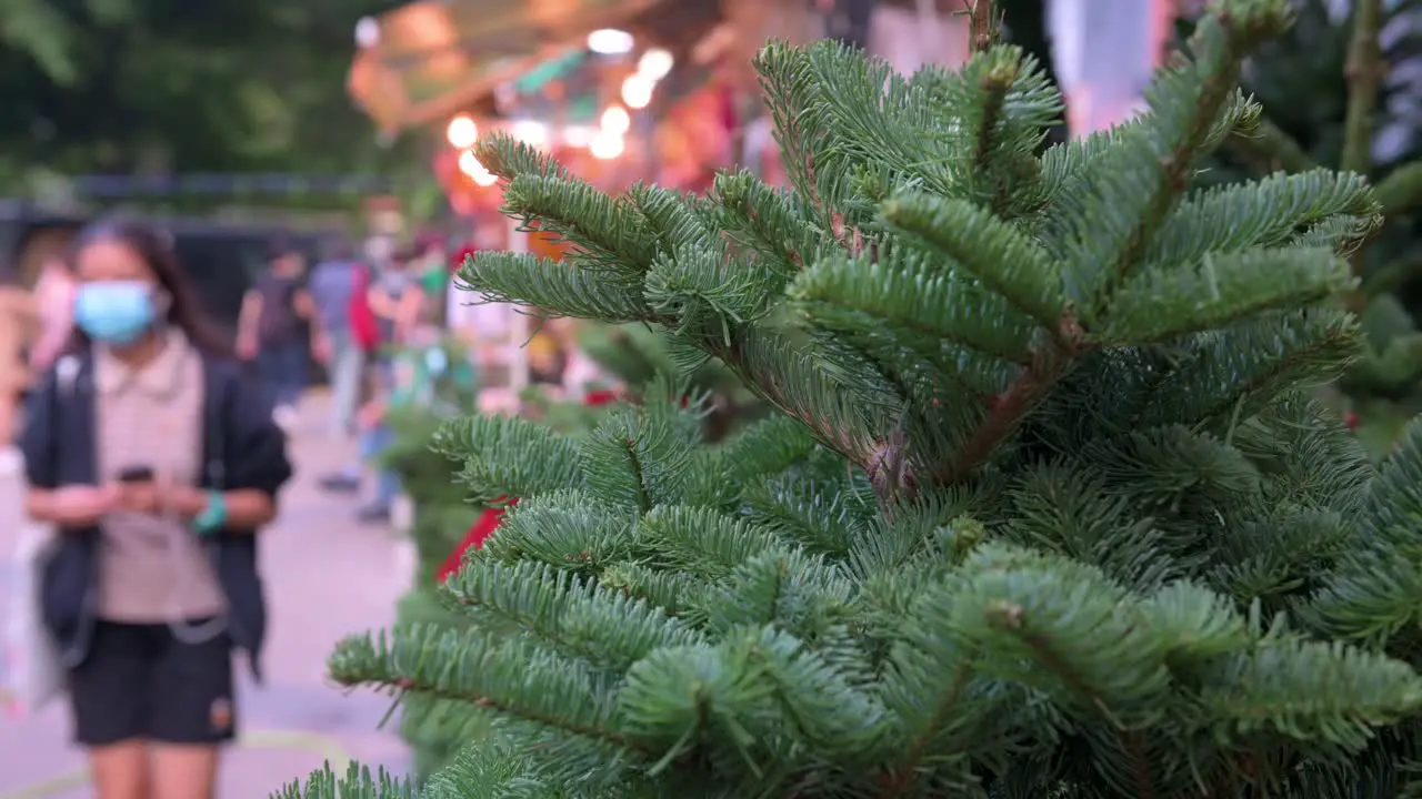 A close-up detail on Christmas pine trees for home decoration are seen for sale as pedestrians walk by in the background in Hong Kong