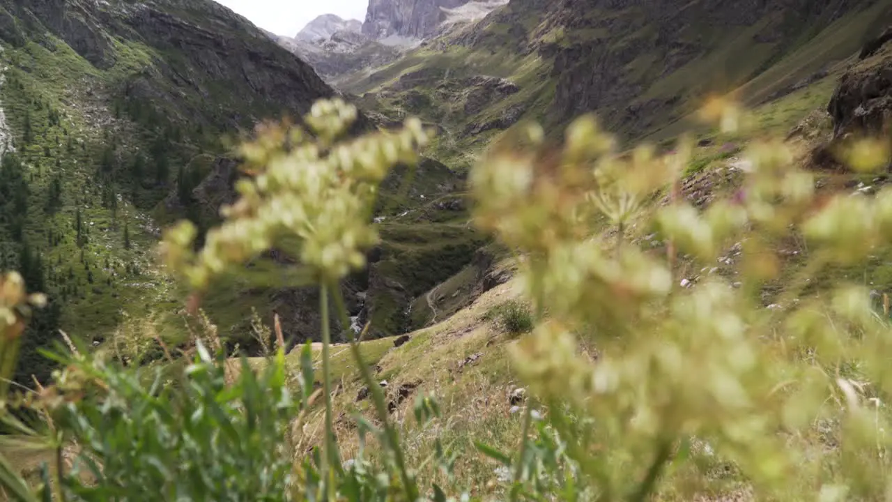 Picturesque view of a high mountain peak in the middle of the beautiful alps