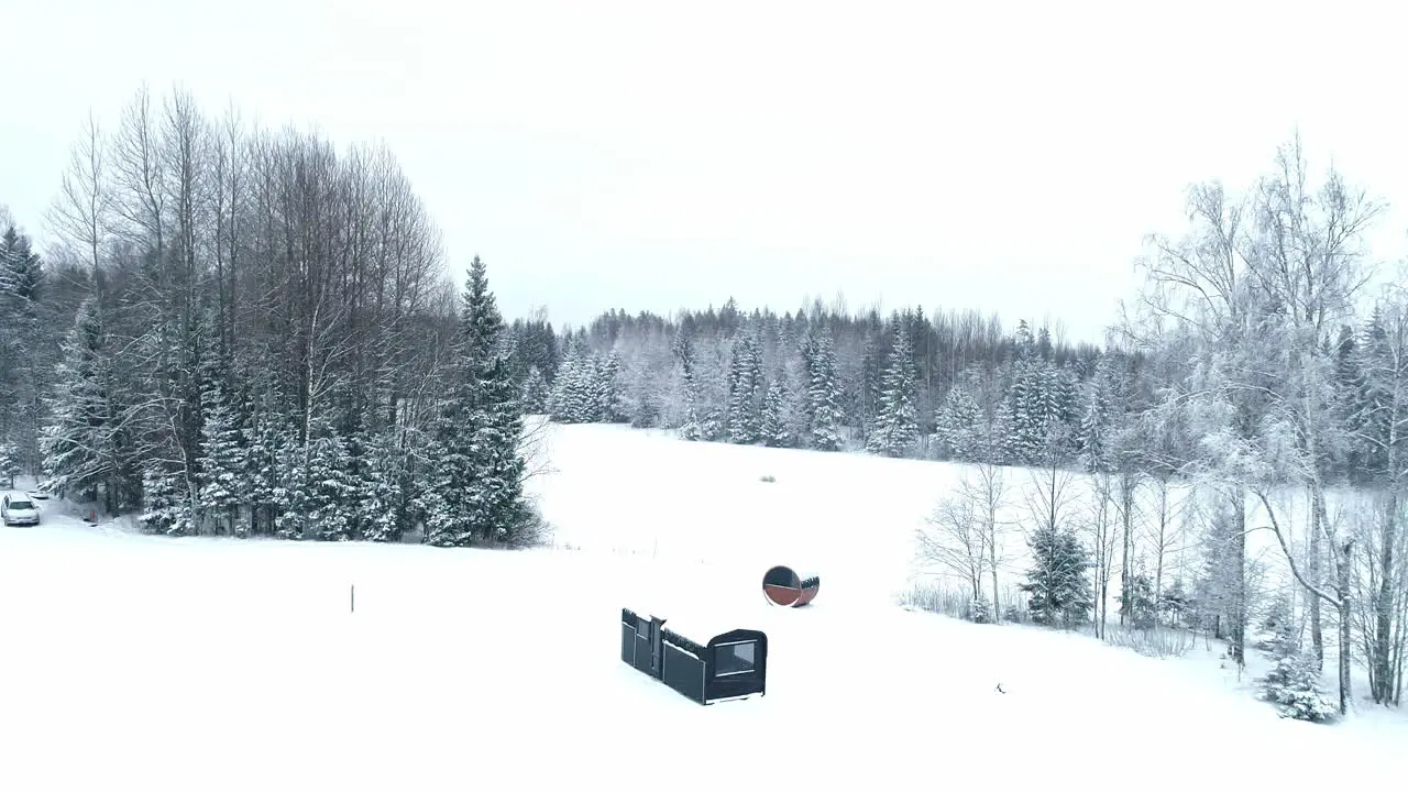 Slowly flying away from a hut in a winter meadow on the edge of woods