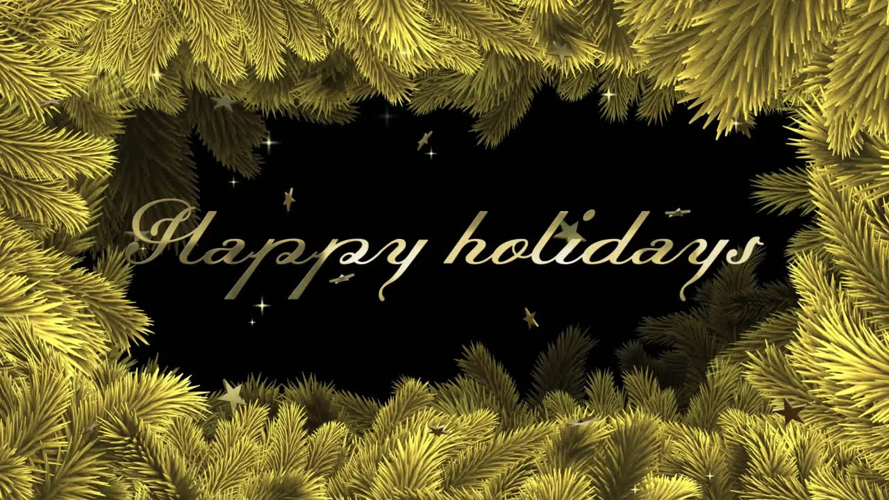 Animation of happy holidays text with feathers and stars on black background