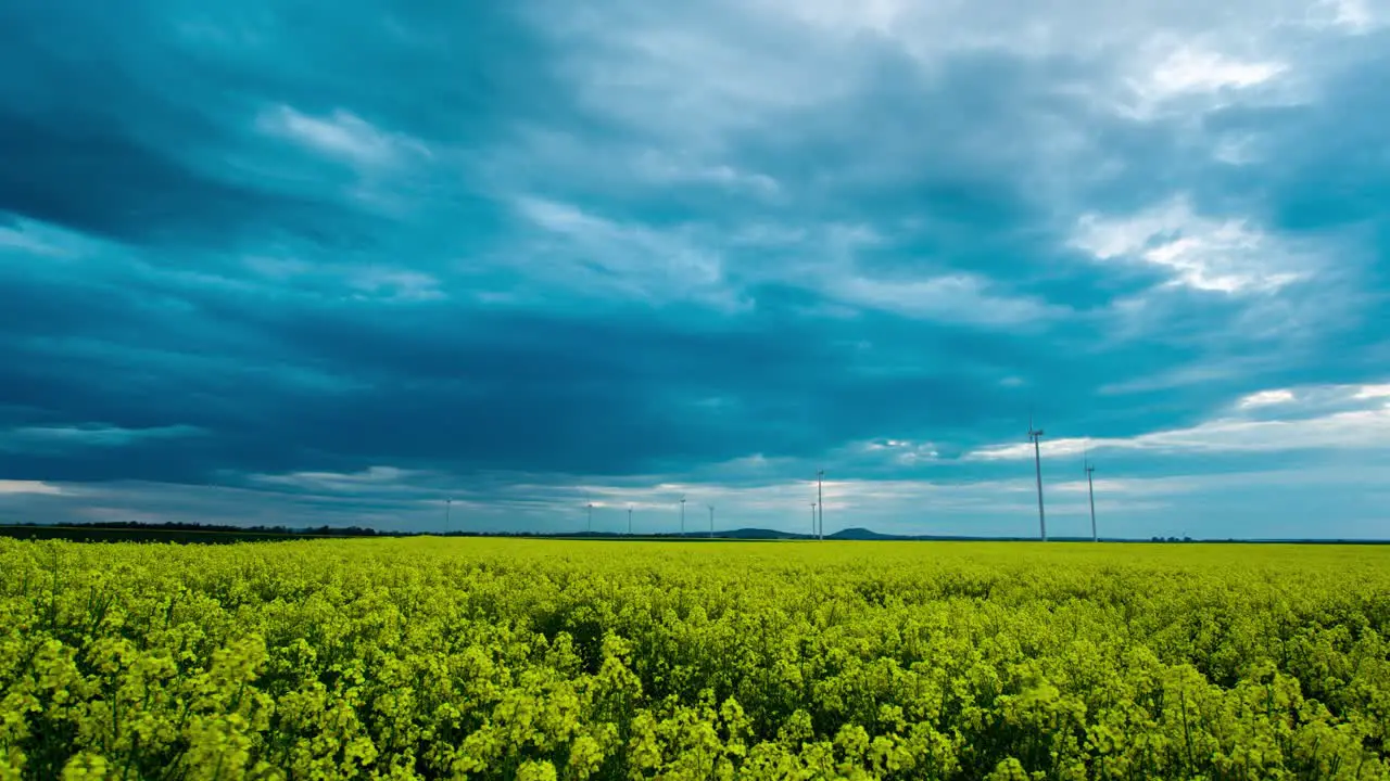 Panoramic time lapse of rotating windmills in flowering rapeseed fields on a cloudy evening