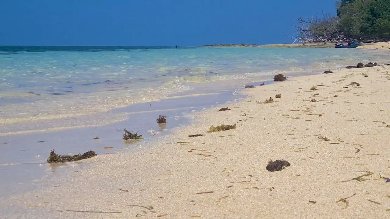 Waves Gently Breaking On Beach With Scattered Seaweed