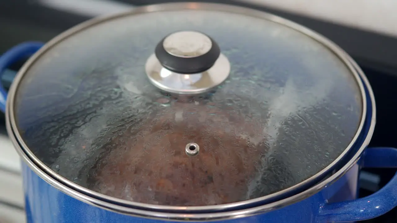 Cooking meat inside a pot timelapse mexican vacuum sealed beef