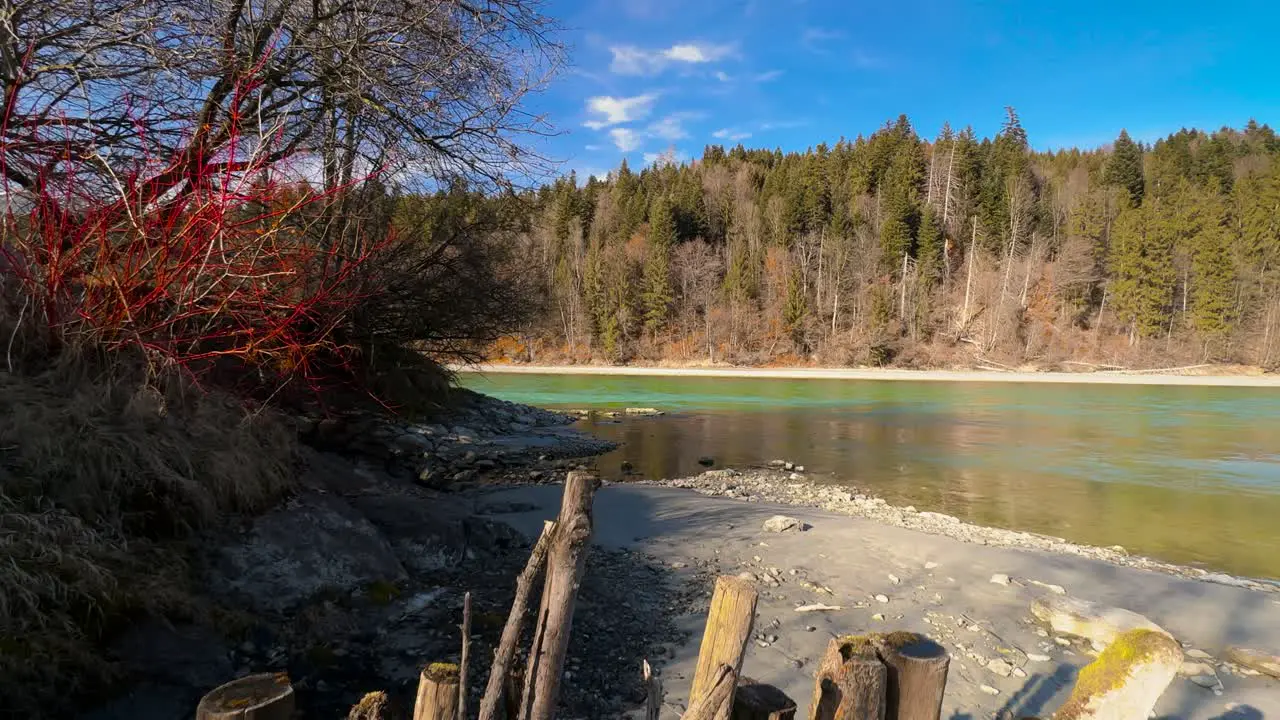 Driftwood on the way during a hike along the green Inn river in front of the Tyrolean mountains