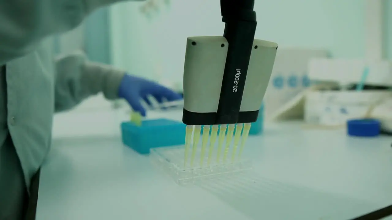 Female Scientist Using Multi channel Pipette To Fill Multi Well Plate