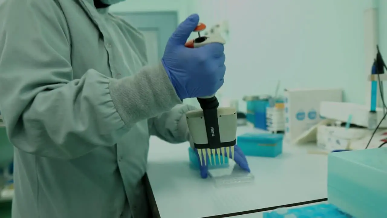 Female Lab Technician Using Multi channel Pipette To Fill Multi Well Plate