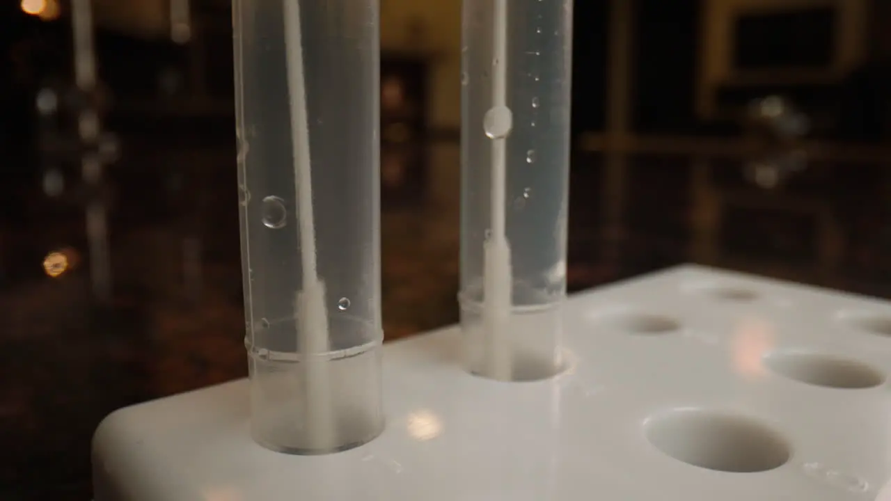 Close-up of cotton swabs in test tubes for Covid-19 coronavirus rapid testing