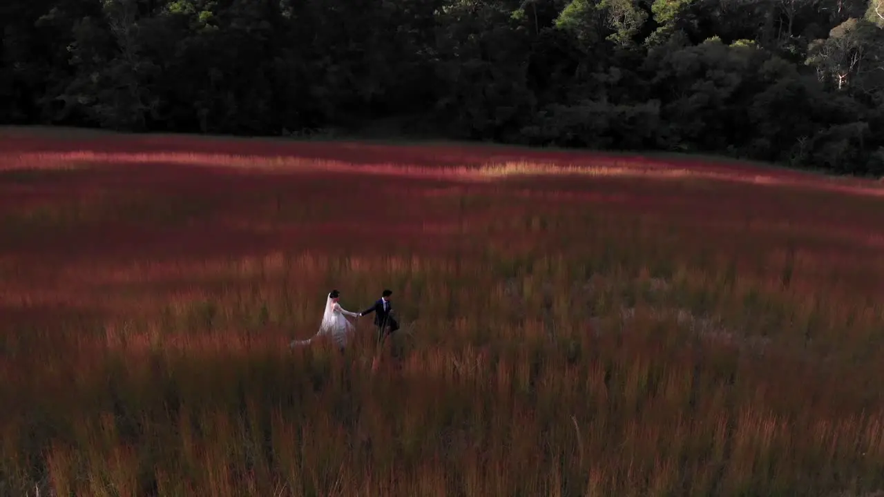 Newlyweds crossing a pink green field at twilight wide side angle