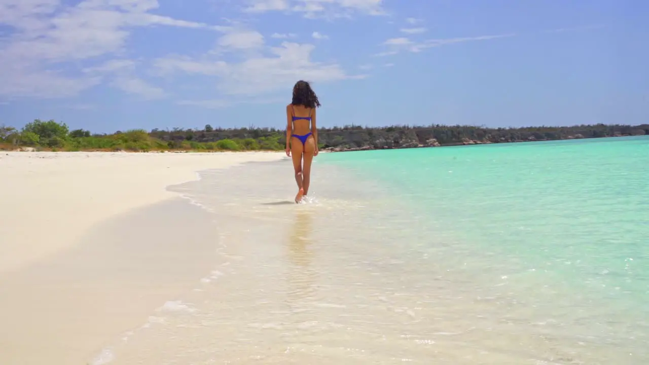 Attractive woman in bikini walking on sandy beach and turquoise shoreline in summer rear view