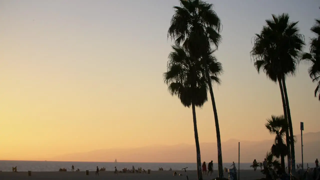 Palm Trees On Venice Beach At Sunset