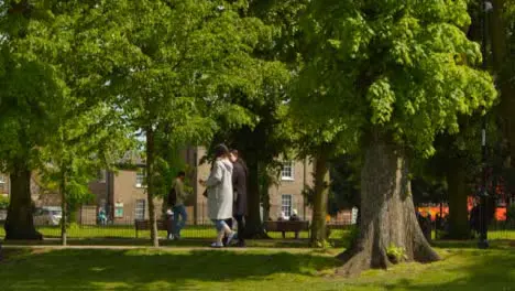 Tracking Shot Following Pedestrians and Cyclists Under Trees In Public Park 