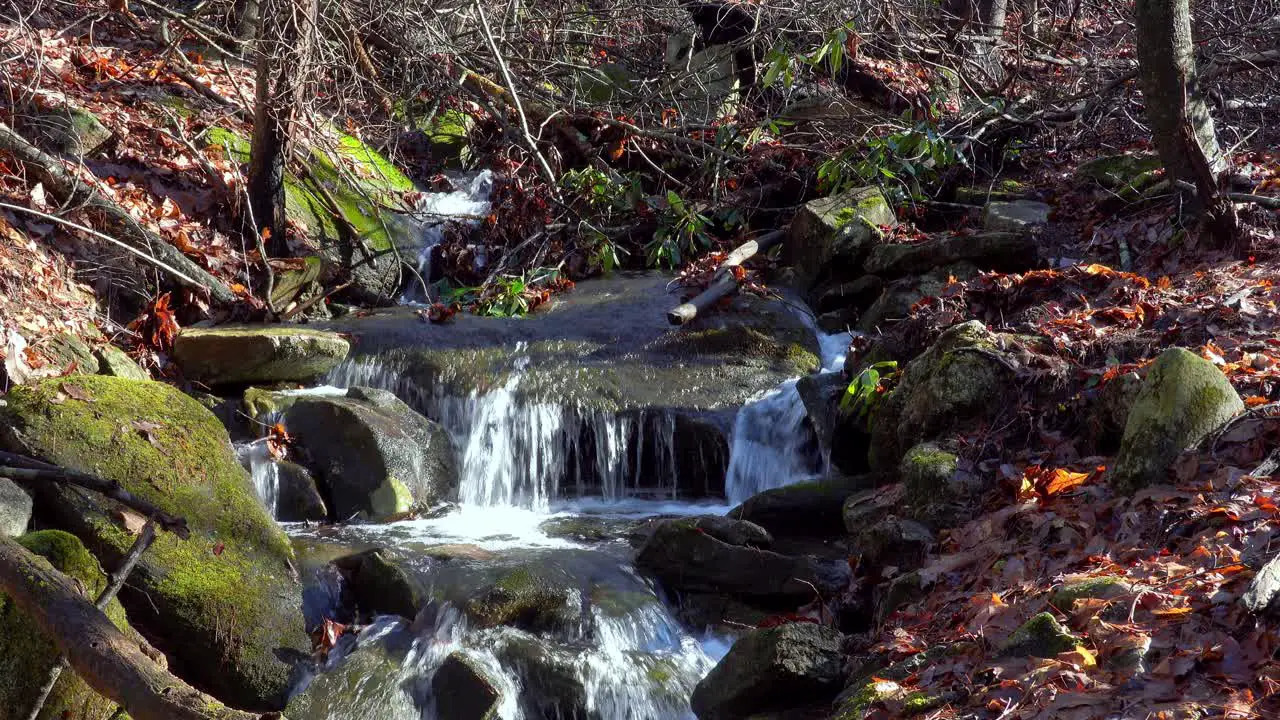 Creek in Stone Mountain State Park tricking over rocks