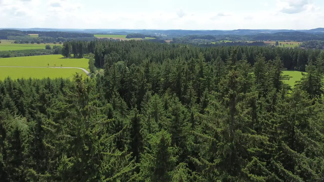 a shot of the drone flying over the treetops in a large green forest forward