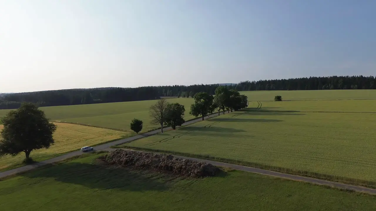 car moving along a road in an alley in the countryside