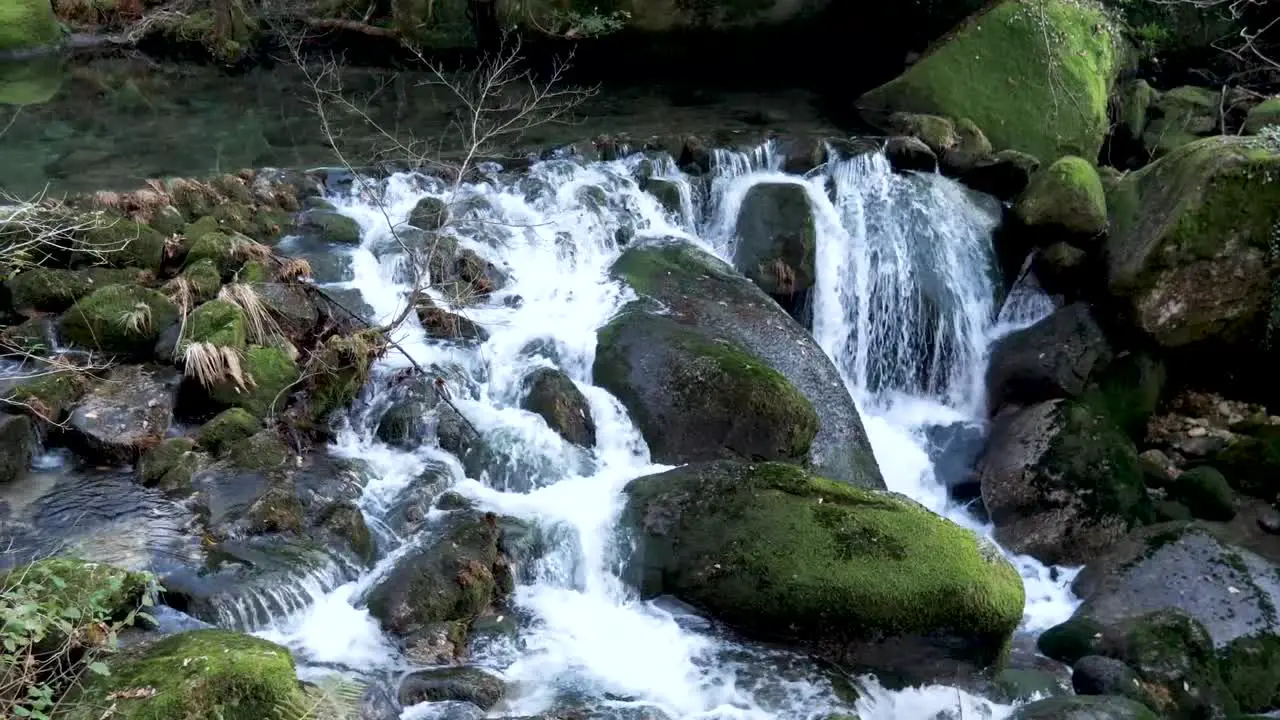 clear river on middle of forest with waterfall