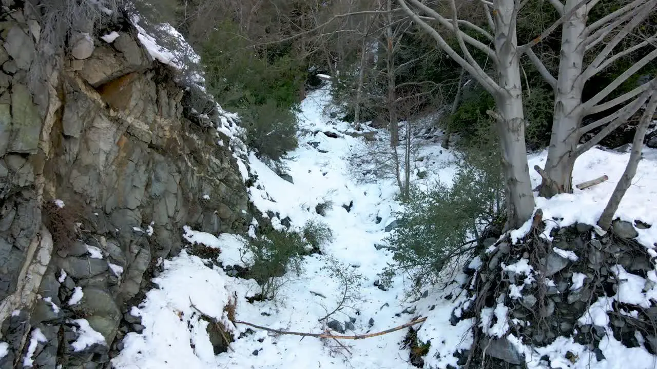 Aerial Shot through Snow Covered Forest