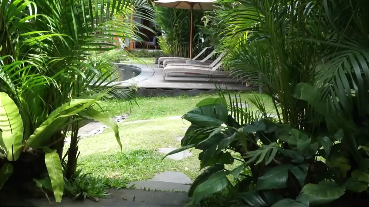 the beautiful garden inside the villa is full of plants and flowers with a tropical feel