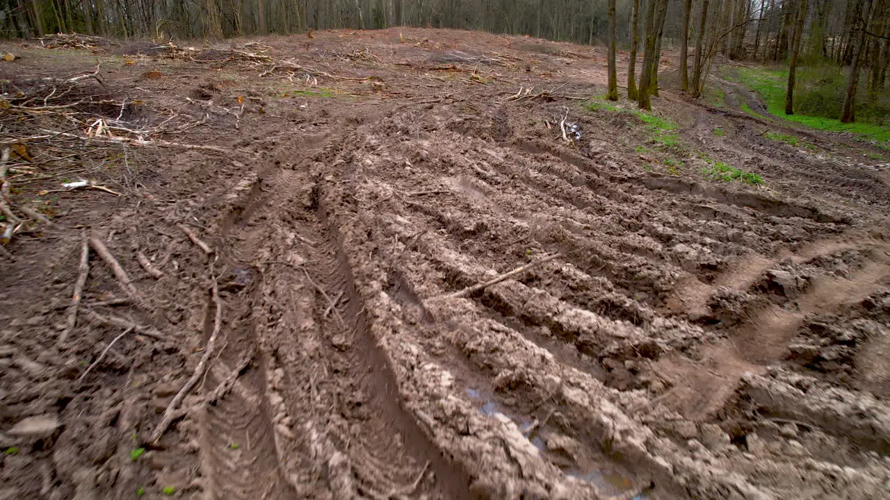 Truck tracks through mud on clearcut woodland permanent environmental damage