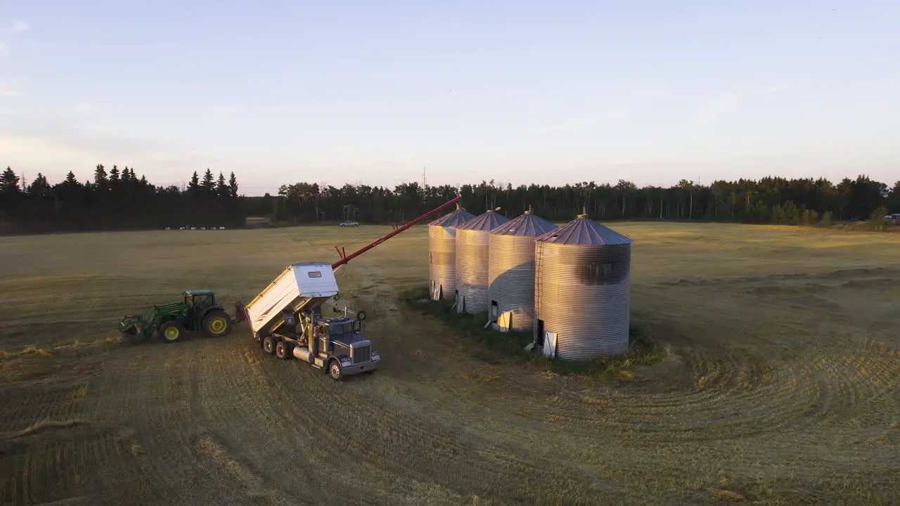 Harvested wheat grain unloaded and transferred to grain silos on farm