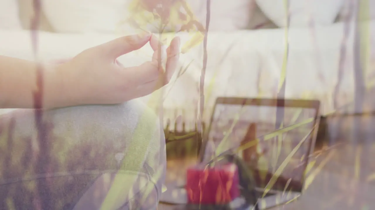 Animation of meadow over woman using laptop and exercising at home