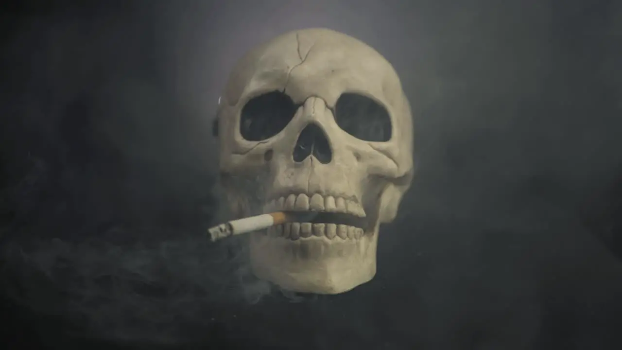 Human skull with cigarette smoke fumes on dark background