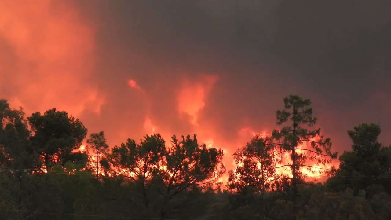 Trees burn flames wildfire Fairview fire nature destruction global warming smoke