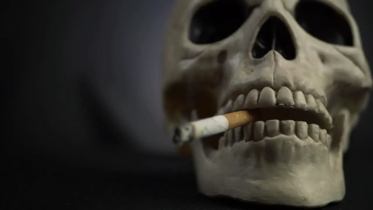 Human skull with cigarette on dark background close up panning shot