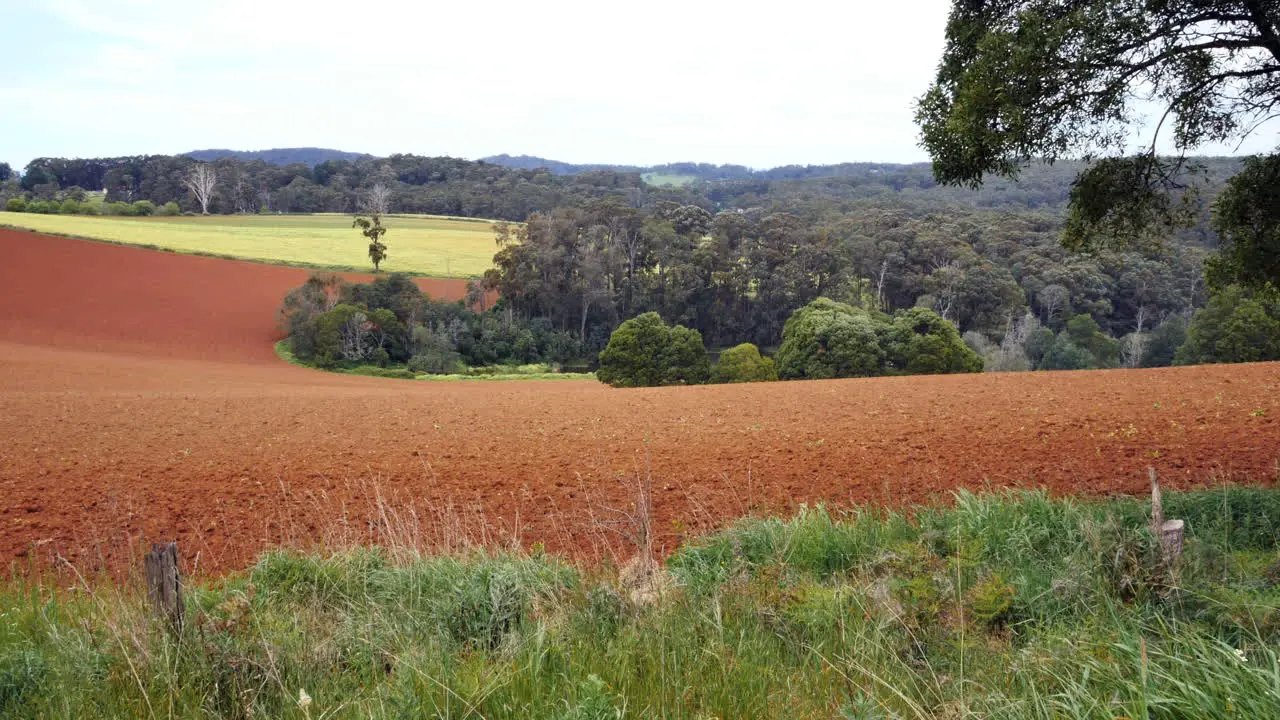 Australia Victoria Field And Woods