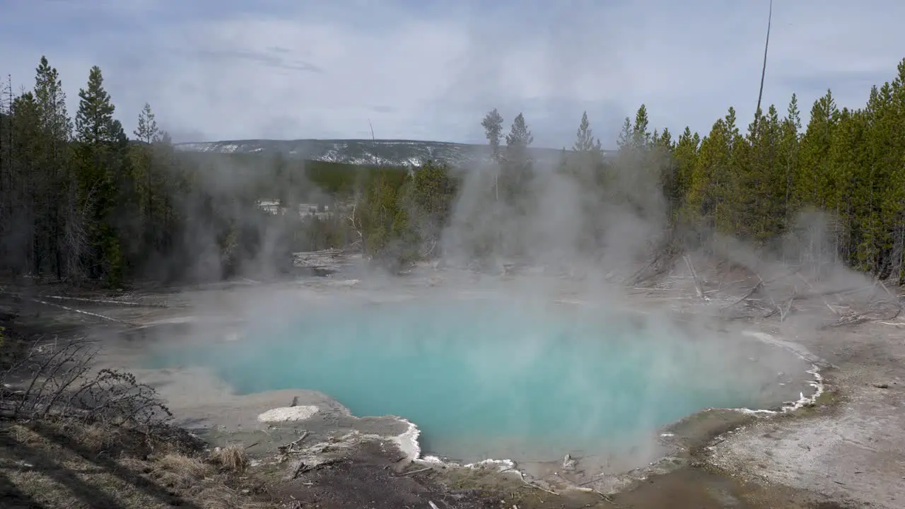 Emerald Spring Norris Geyser Basin Yellowstone