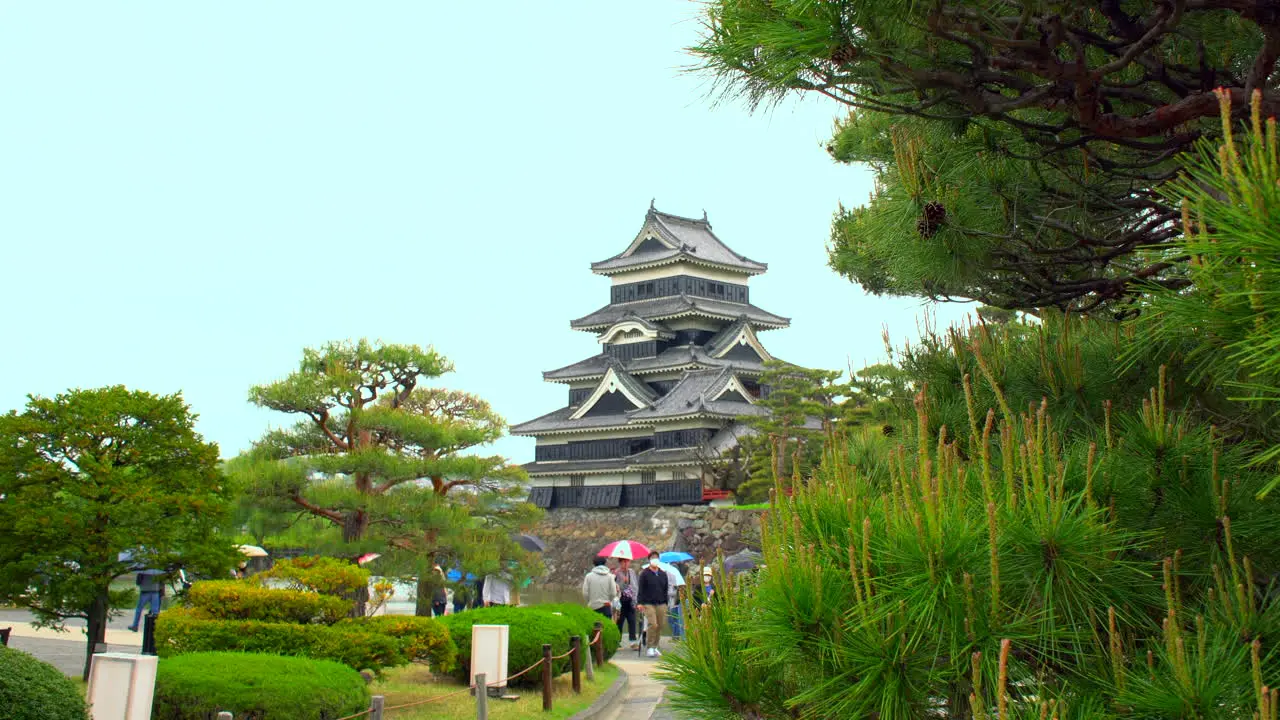 MATSUMOTO NAGANO circa May 2022 tourists strolling with colourful umbrellas through Japanese garden of the majestic Matsumoto Castle on a rainy spring day through a magnificent pine tree