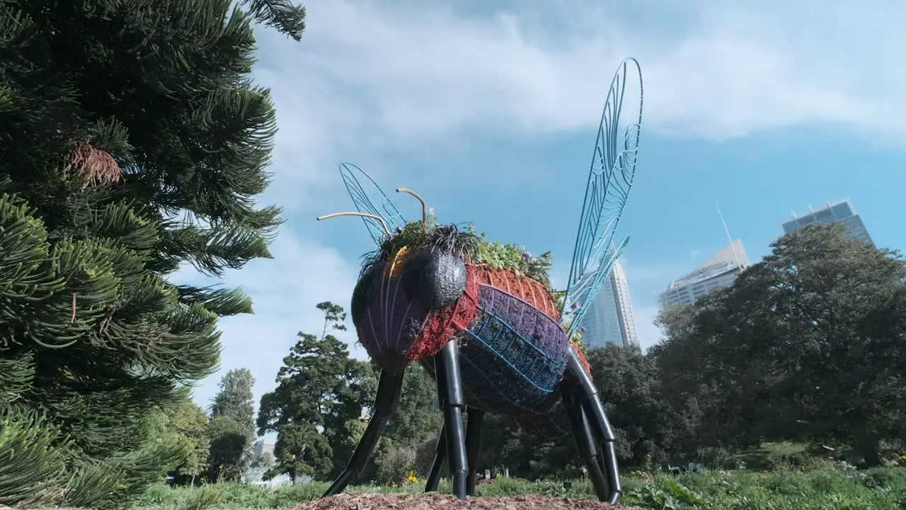 An unusual sight in Sydney’s Botanical Gardens a giant bee made of flowers