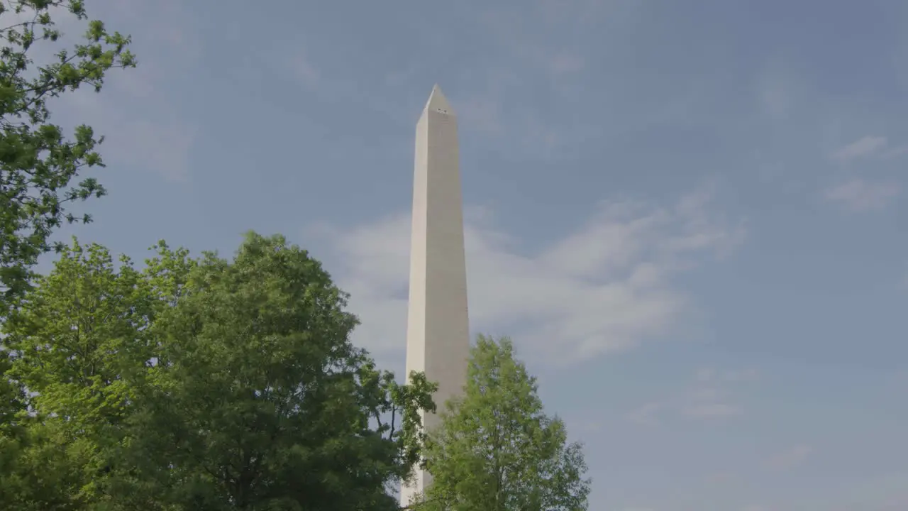 A revealing shot of the Washington Monument over some trees with a blue sky on a spring day