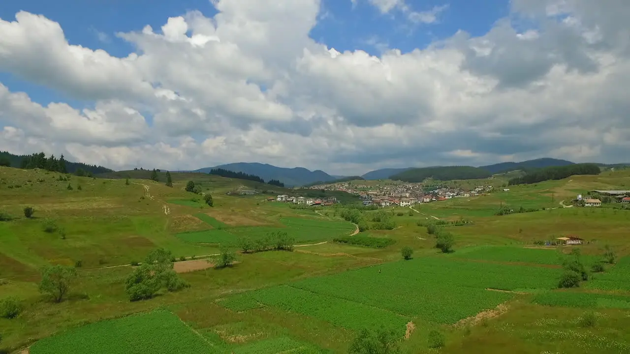 Green arable land near a small village