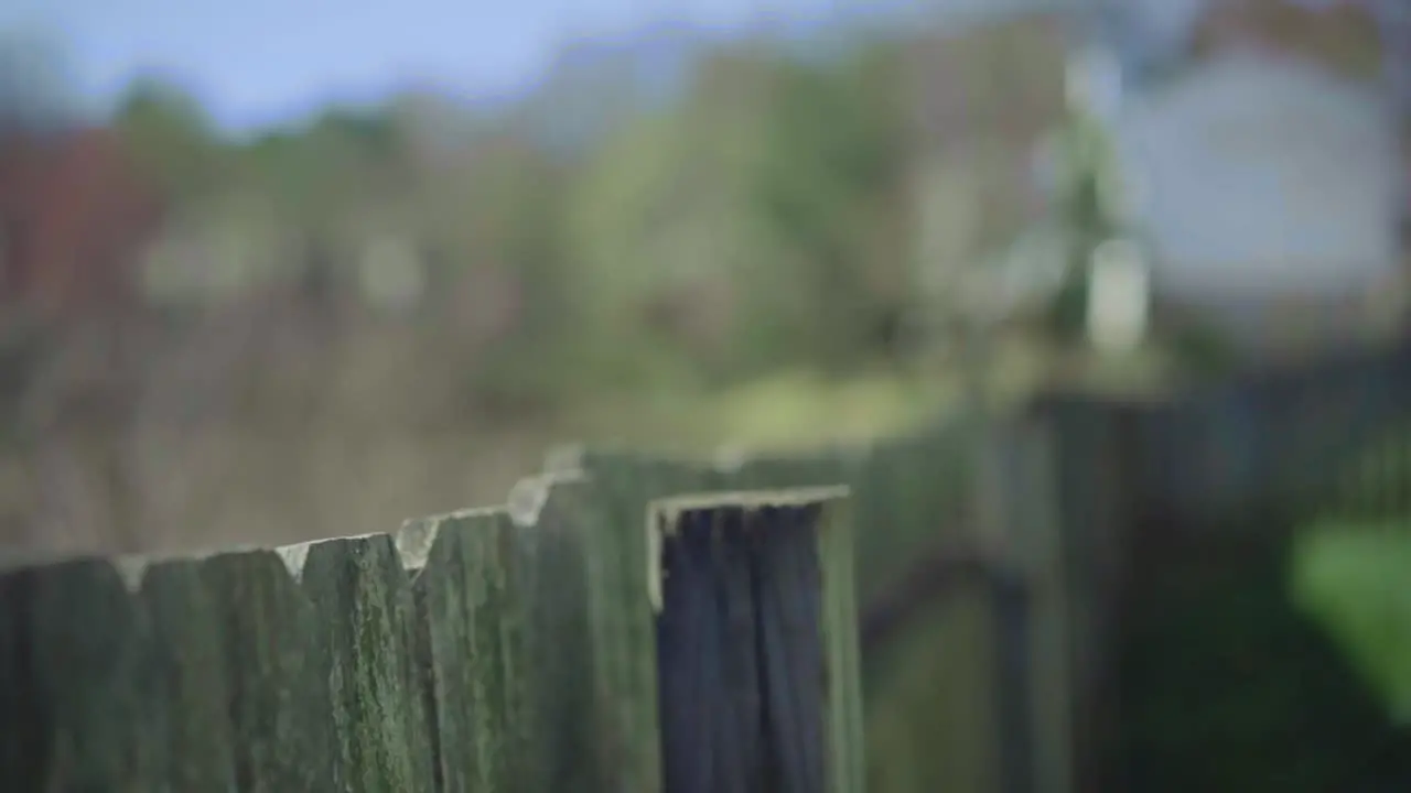 Shot of wooden fence with treeline and blue sky in the background shot in 120 fps