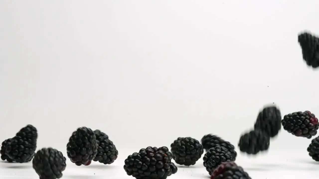 Blackberries falling in slow motion and bouncing on white studio backdrop in 4k