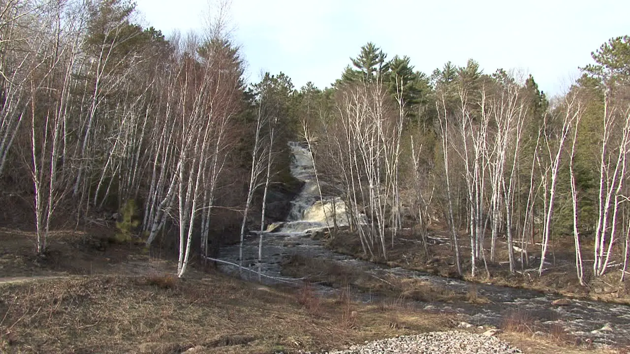 Michigan waterfall and barren birch trees