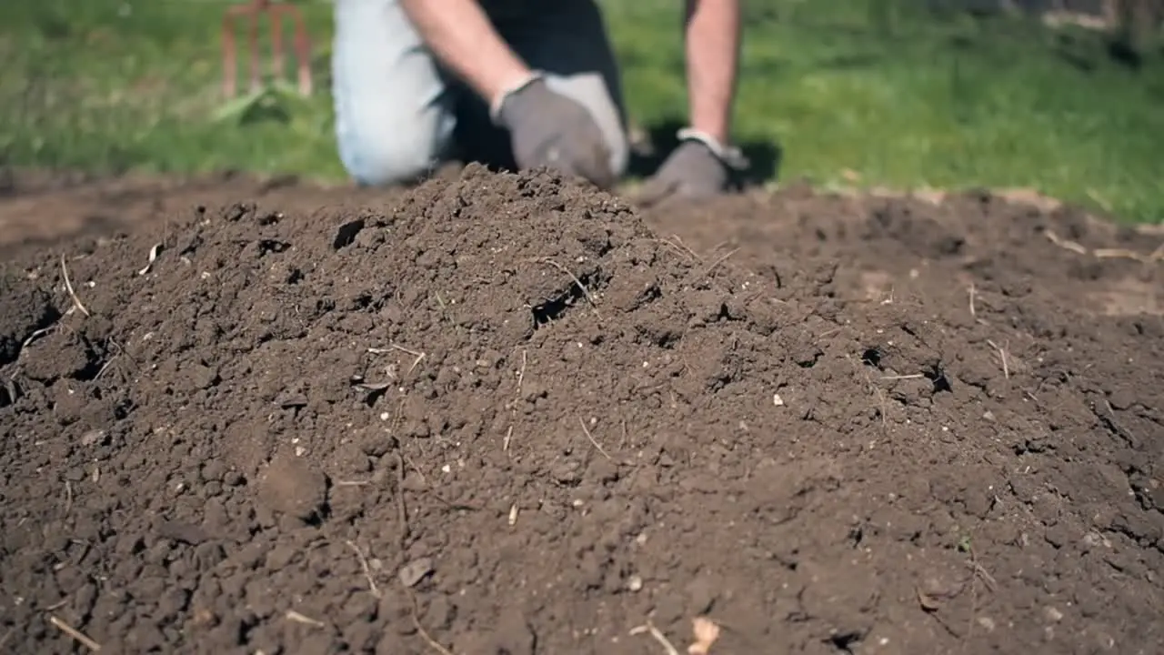 Man working in garden and removing weeds from soil