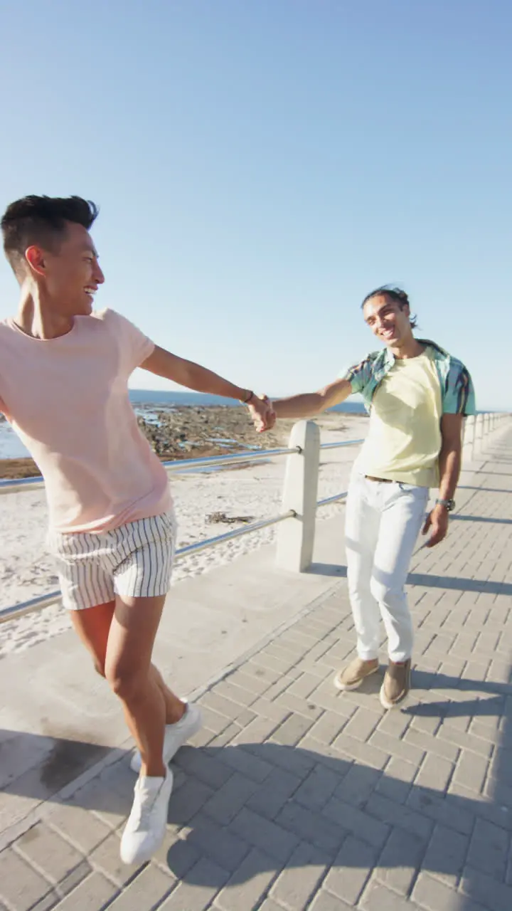 Vertical video of happy diverse male couple holding hands at promenade by the sea slow motion