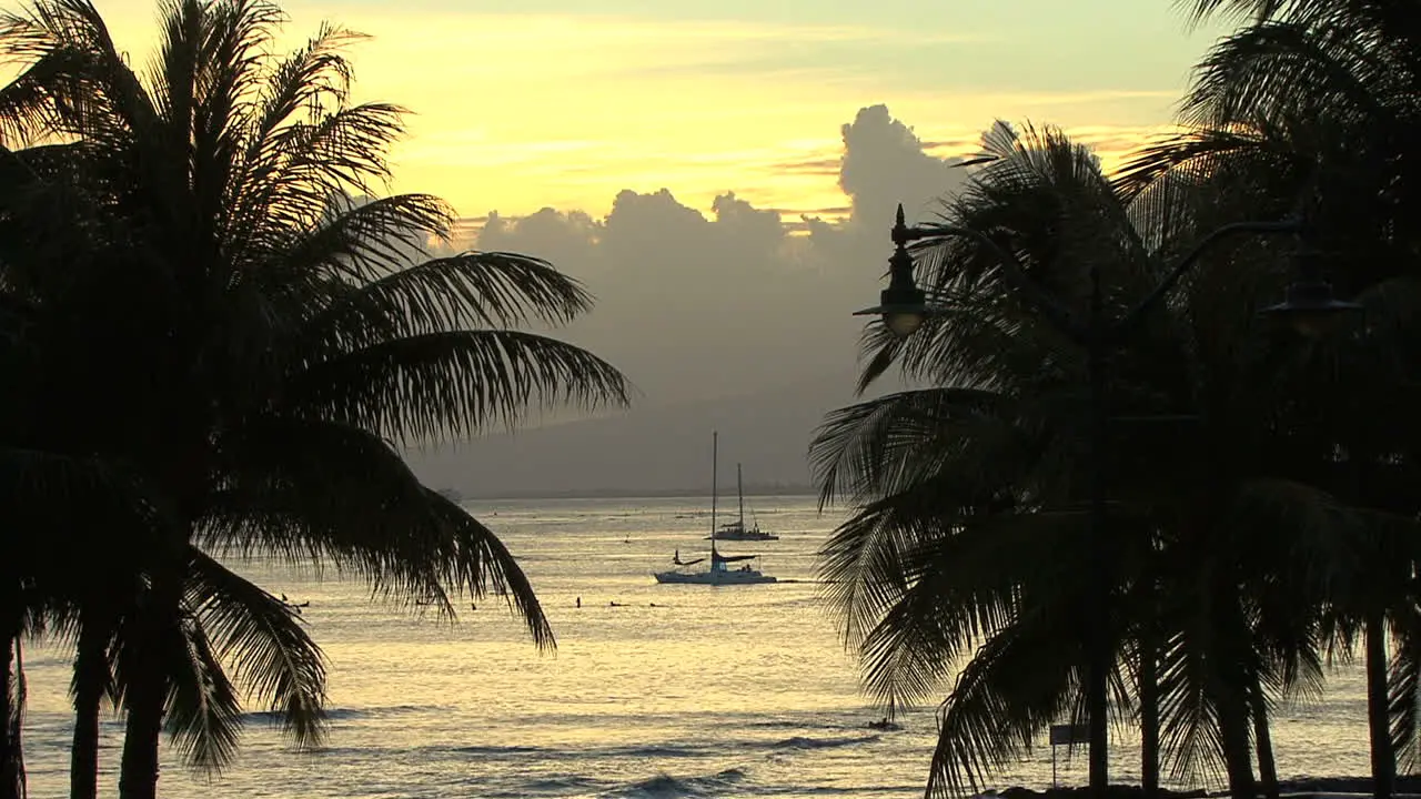 Waikiki boats and palms at sunset