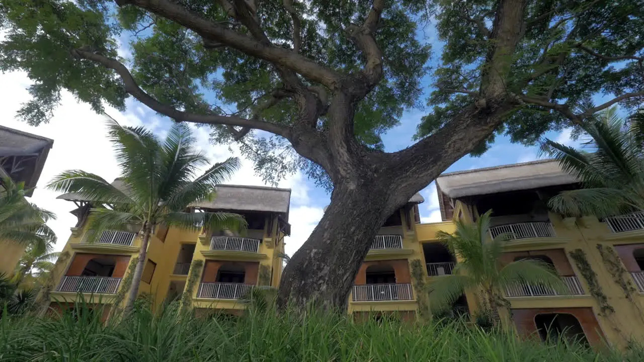 Hotels and trees on tropical resort