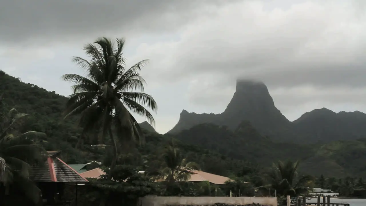 Moorea mountains with palm