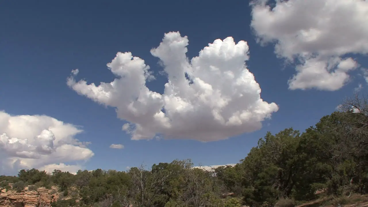 Arizona funny shaped cumulus cloud