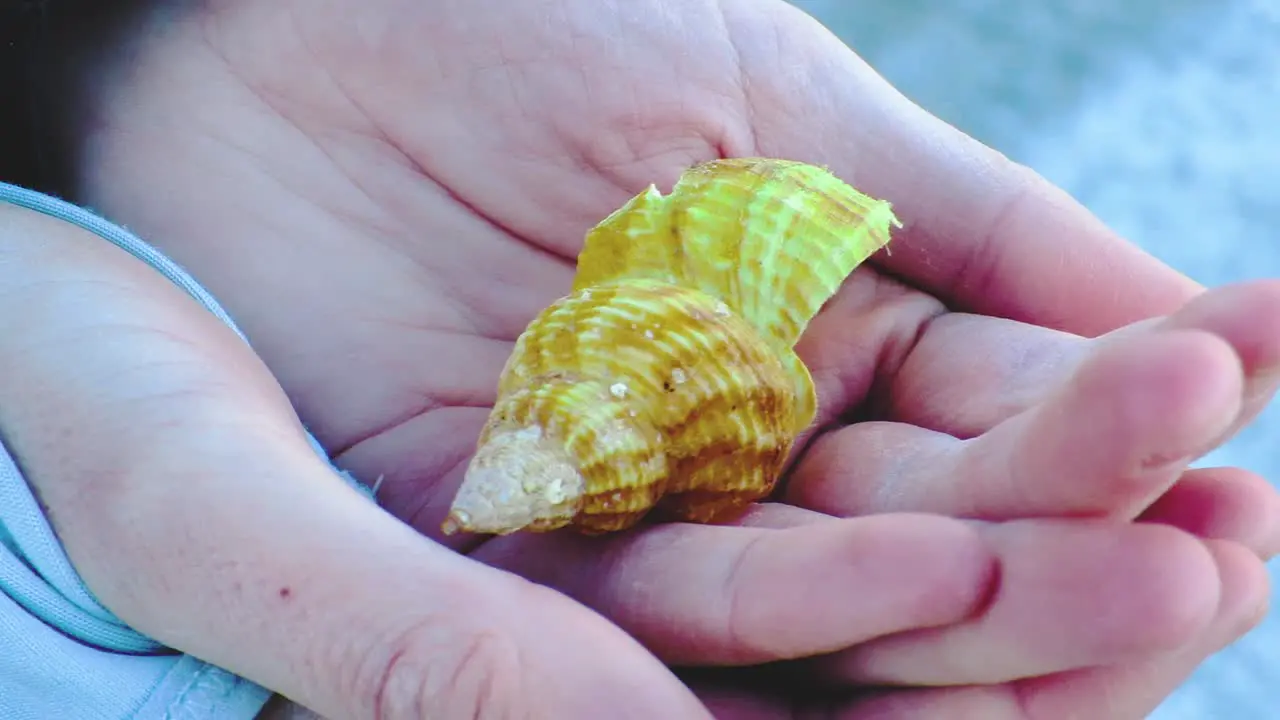 Girl holding an empty shell in her hands on a cold winter day