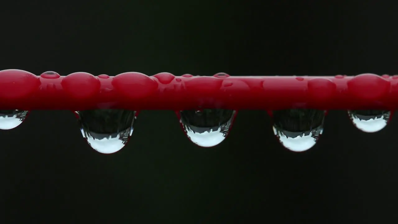 Close up of Raindrops on a washing line