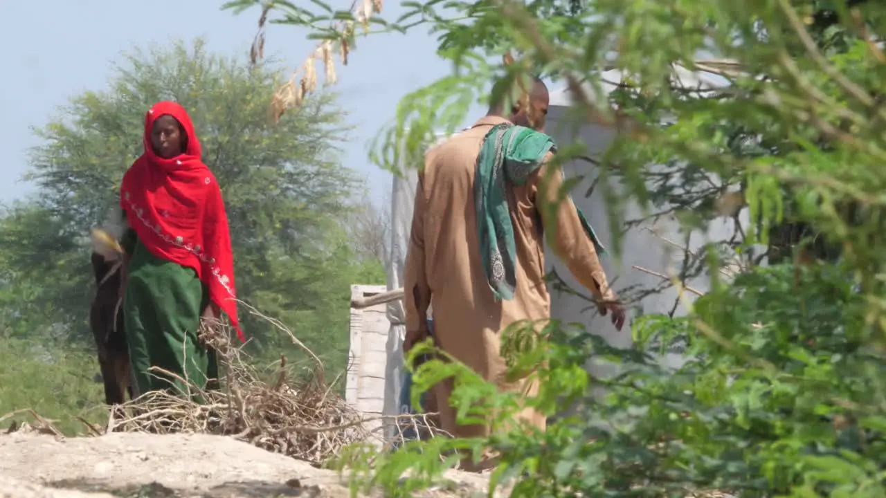 Local Pakistani Male Walking Past Woman Pulling Cow Seen Through Heat Haze In Sindh Pakistan