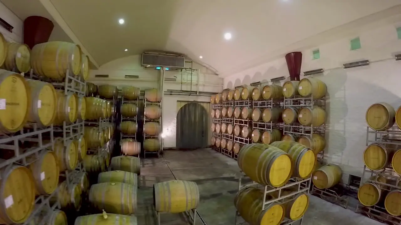 The barrel cellar at famous wine farm