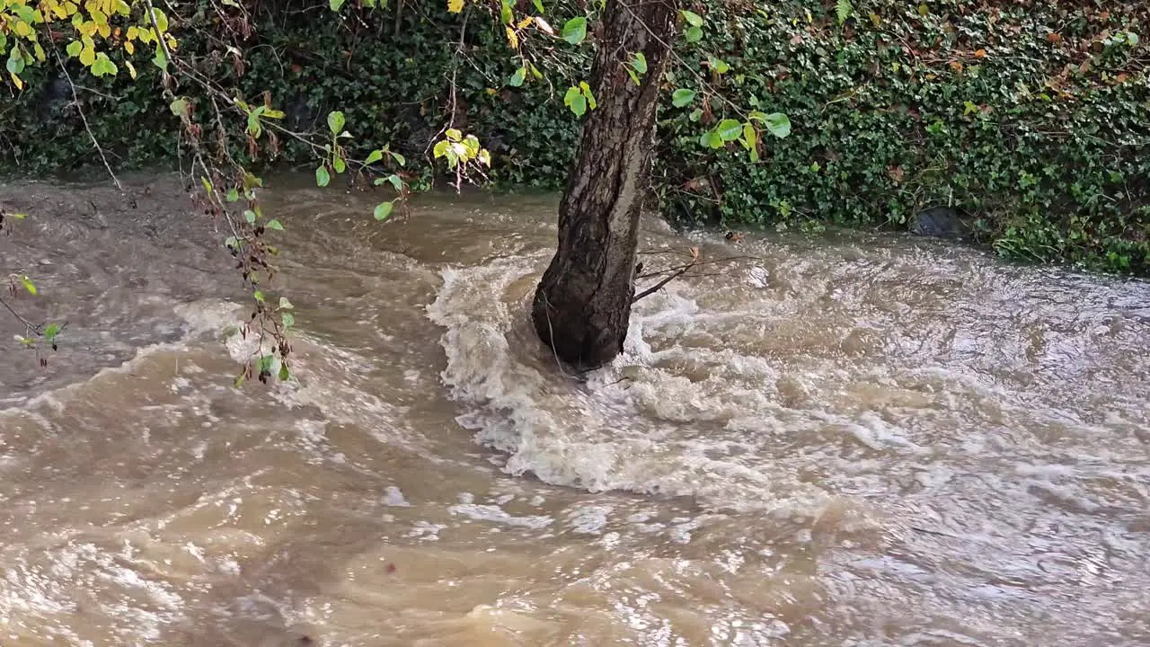 waters in a rage The raging river after heavy rain