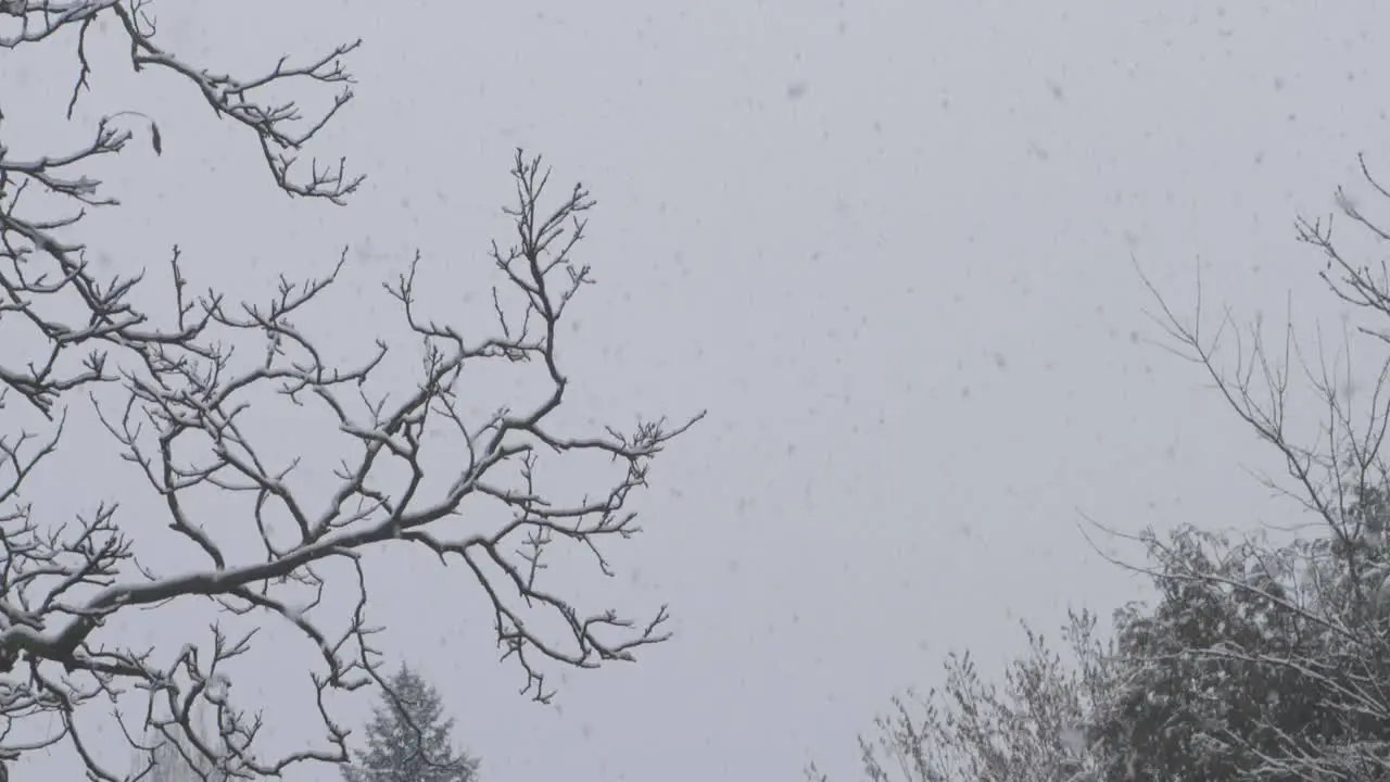 SLOW MOTION POV tilt shot into the sky of snow falling heavily in backyard-garden